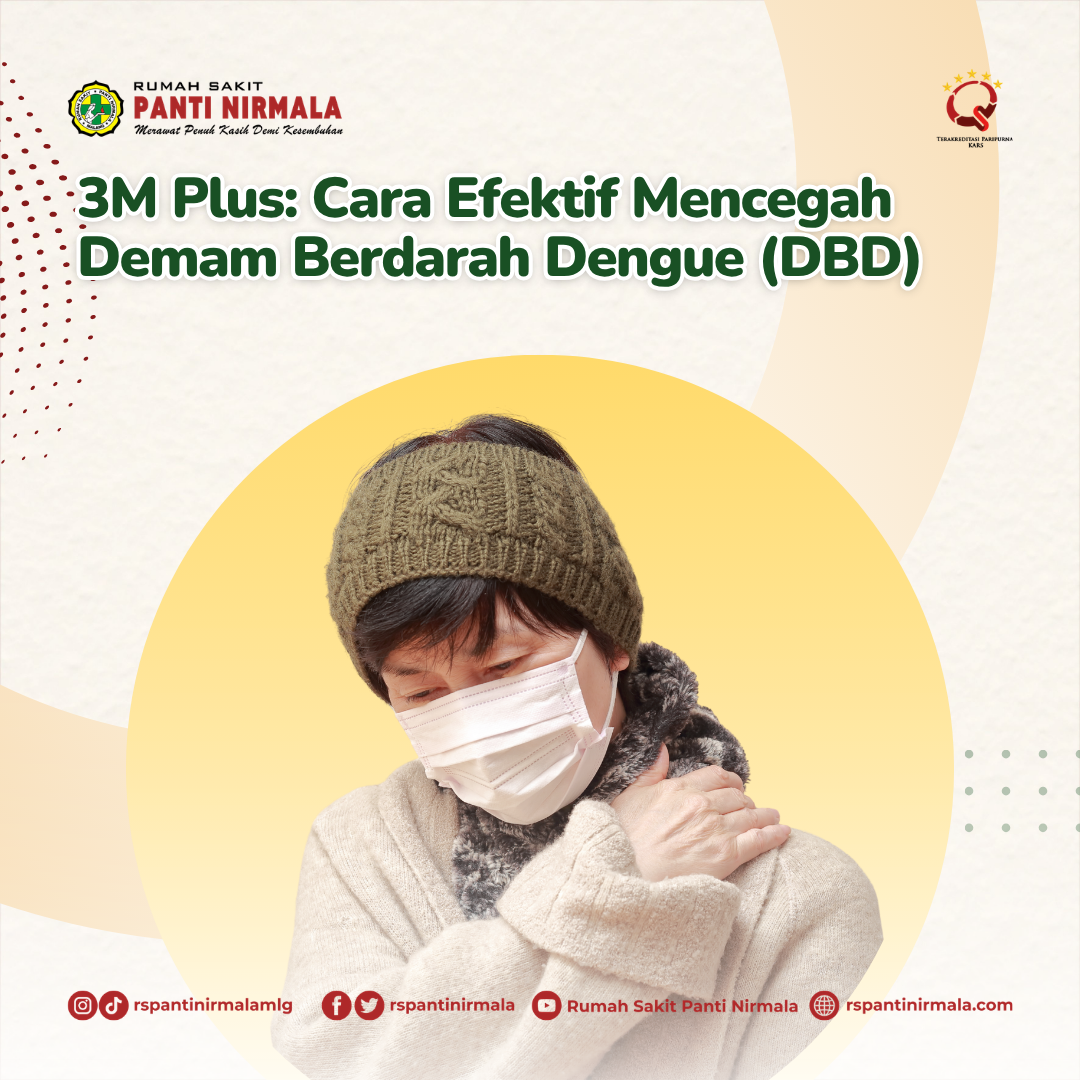 3M Plus: Cara Efektif Mencegah Demam Berdarah Dengue (DBD)